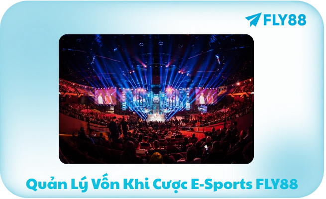Quan Ly Von Khi Cuoc E Sports FLY88 Quản Lý Vốn Khi Cược E-Sports FLY88